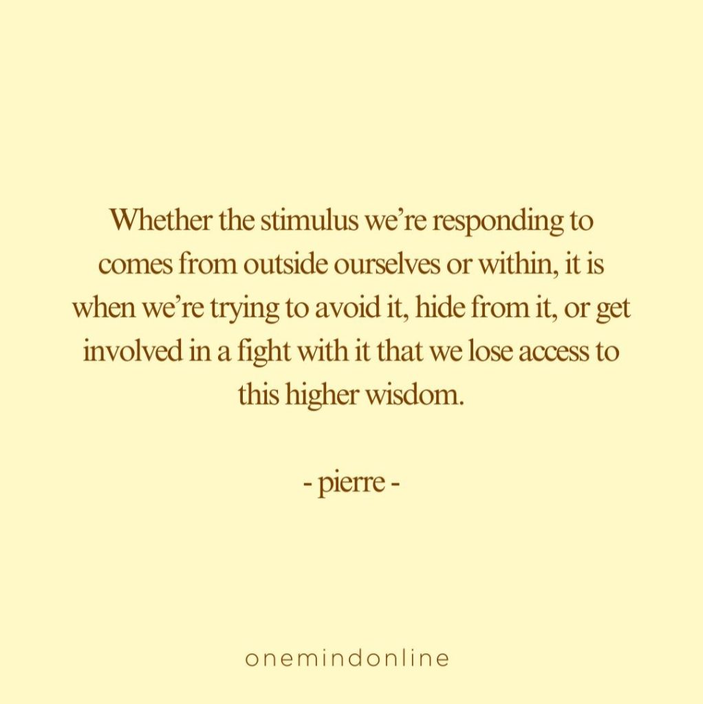 This is a quote by pierre for meditation: 