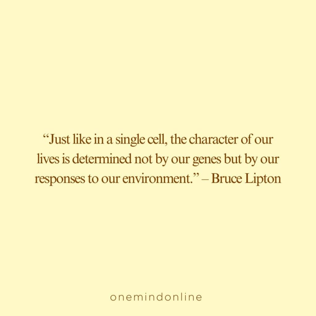 This is a quote by Bruce Lipton for meditation: “Just like in a single cell, the character of our lives is determined not by our genes but by our responses to our environment.” – Bruce Lipton