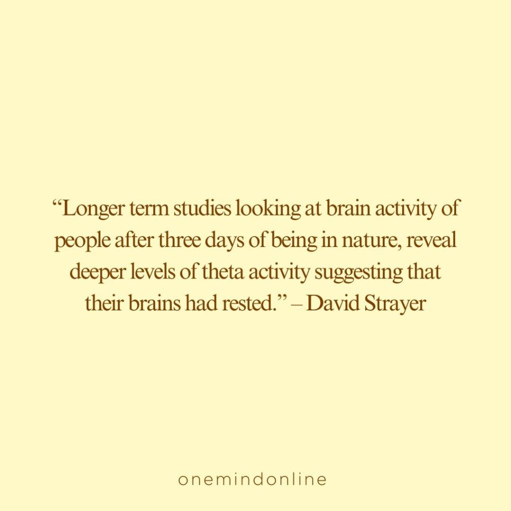 This is a quote by David Strayer for meditation: “Longer term studies looking at brain activity of people after three days of being in nature, reveal deeper levels of theta activity suggesting that their brains had rested.” – David Strayer