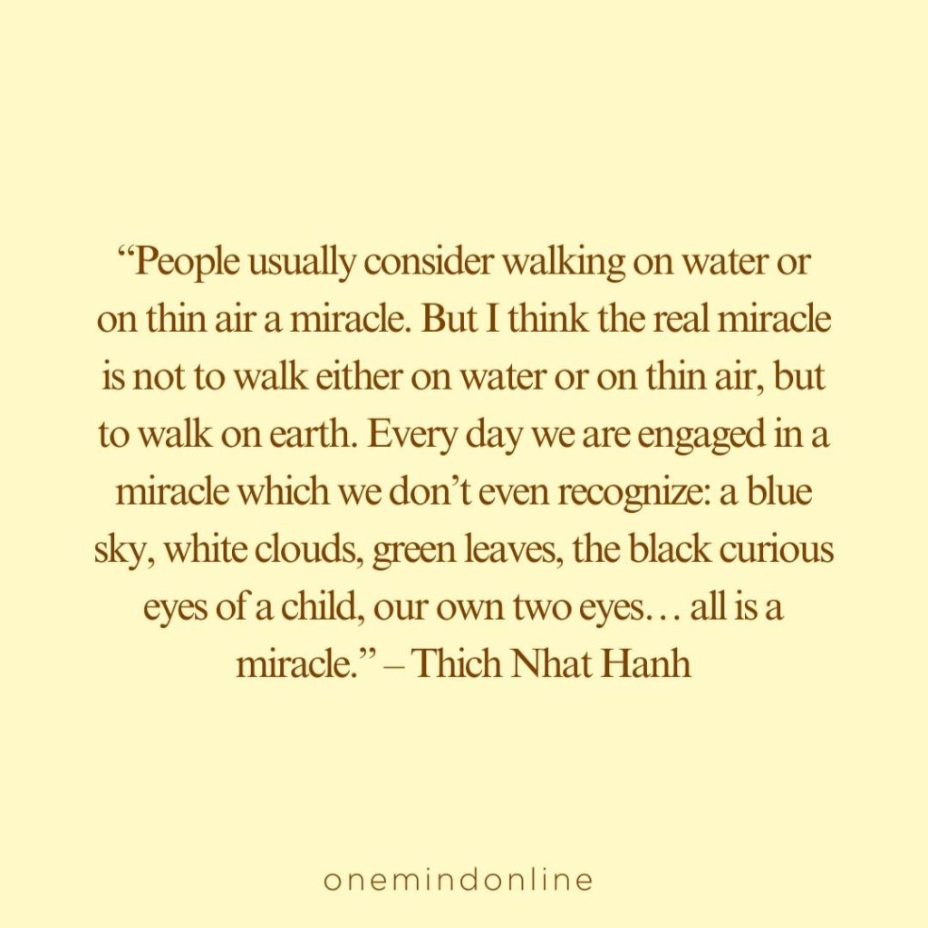 This is a quote by Thich Nhat Hanh for meditation: 